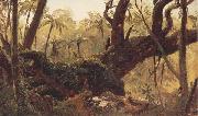 Frederic E.Church Rain Forest,jamaica,West Indies oil